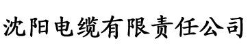 日亚韩一区视频视频网站电缆厂logo